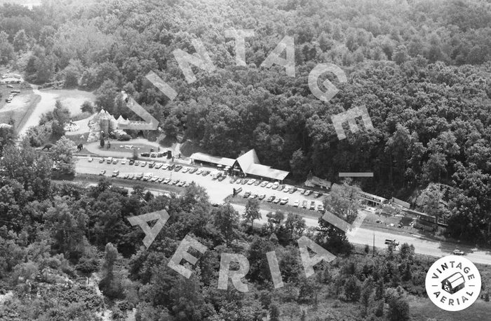 Prehistoric Forest - Vintage Aerial (newer photo)
